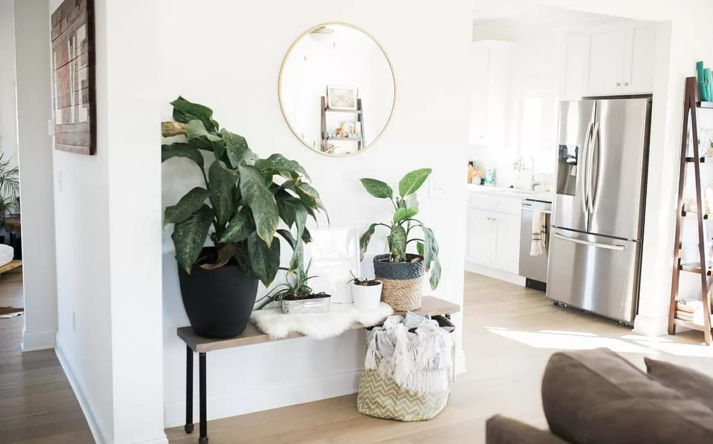 Photo - 1513 Star Flower Aly