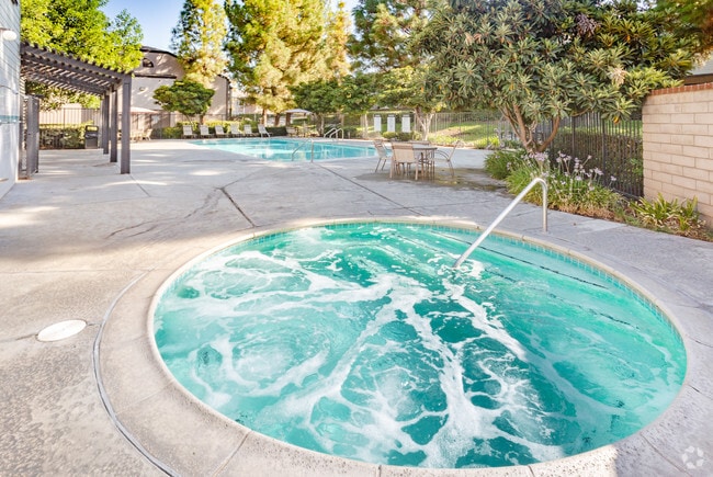 Spa & Pool