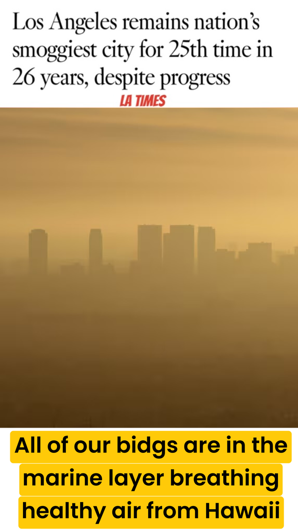 Photo - 424 Esplanade LLC