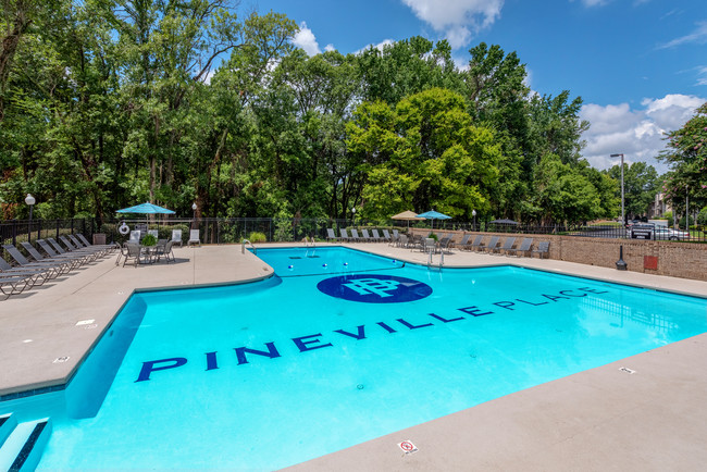 Sparkling Pool - Pineville Place Apartments