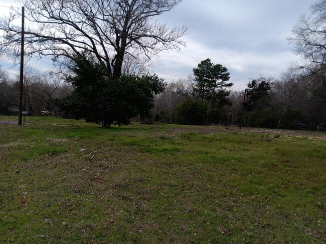 Back Yard - 901 N Hamlett St House