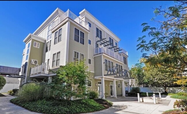 Building Photo - 31 Wheeler St Unit 202 Rental