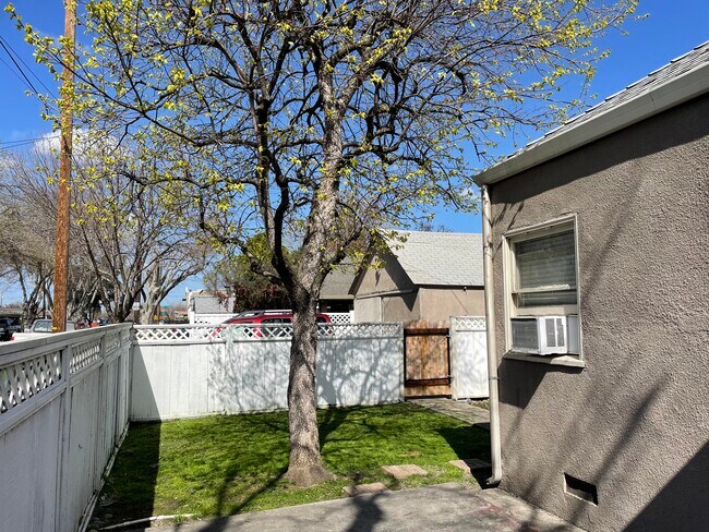 Fenced yard with private gate, adjacent to parking - 539 W 12th St