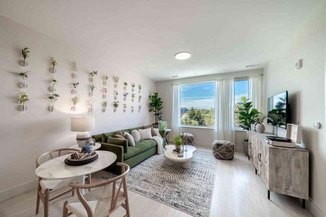 Apartment Living Room