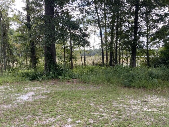 Photo - 5603 Landings Pkwy