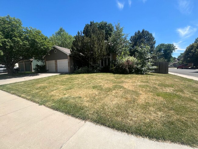 Photo - Wonderful Home in Central Ft. Collins