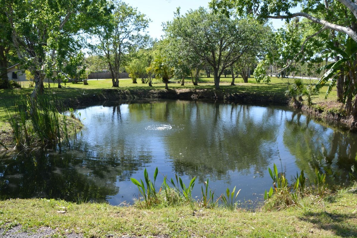 Photo - 1045 Pine Island Rd