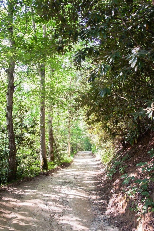 Photo - 251 Landwood Ln