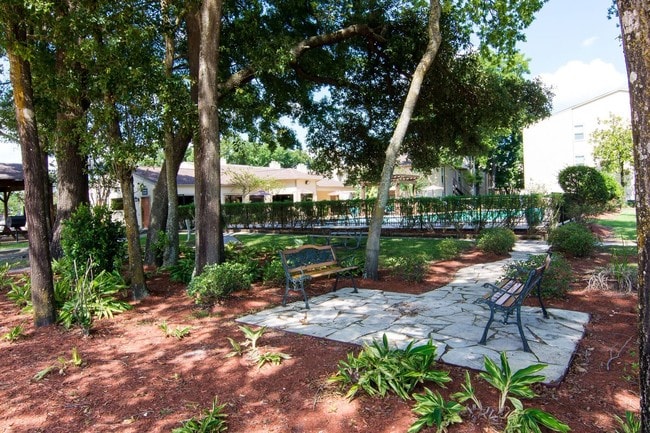 Zen Park - Deerbrook Forest