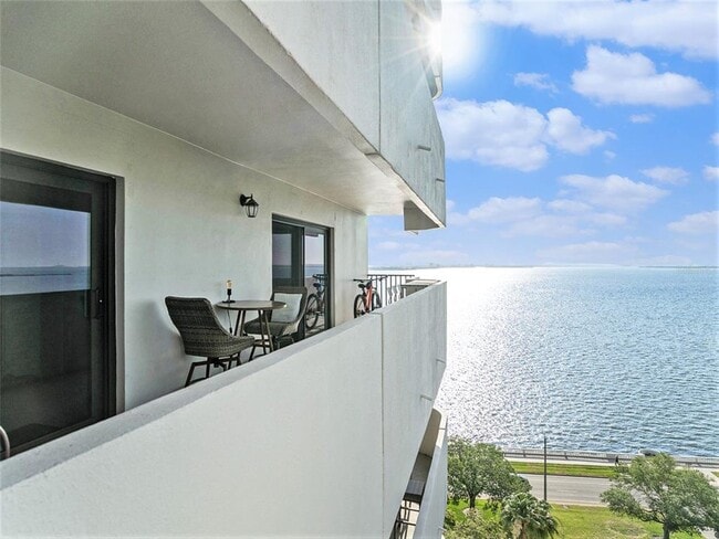 Building Photo - 4141 Bayshore Blvd Unit 1203 Rental