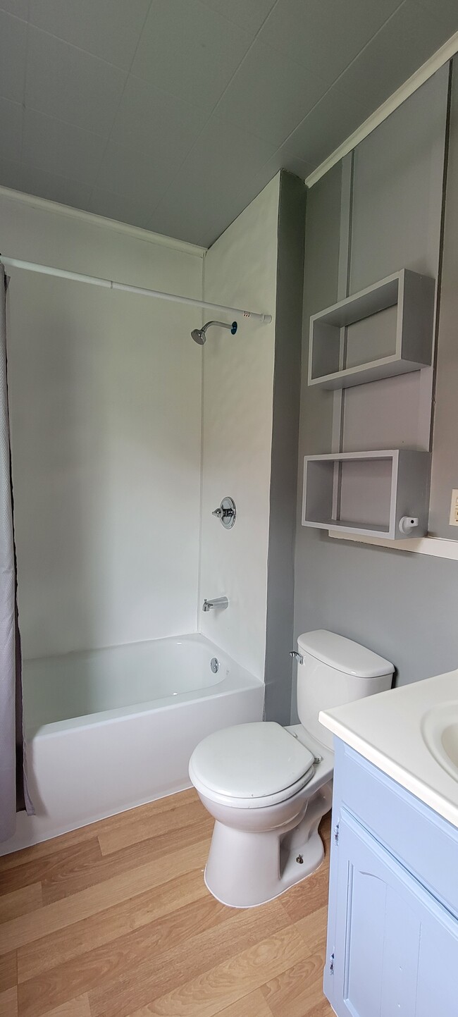 bathroom - 532 Riehl St