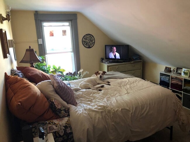 Photo - 127 Emery St