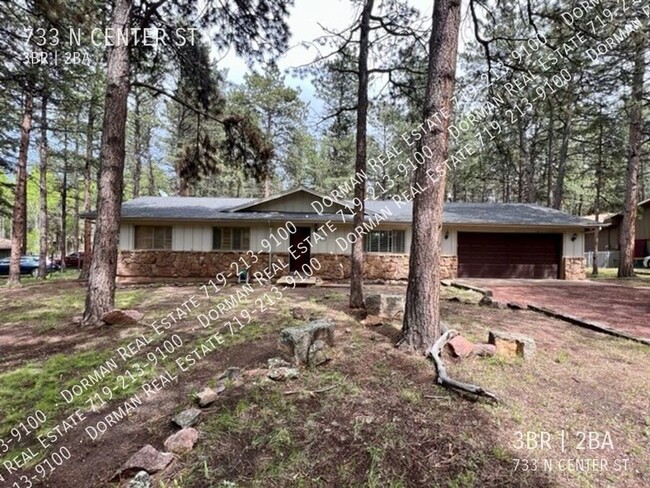 Cozy home in Woodland Park - Cozy home in Woodland Park
