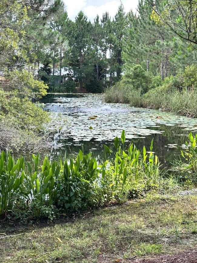 Photo - Spacious 3Bed/2.5Bath Townhouse in Quiet Neighborhood in Santa Rosa Beach