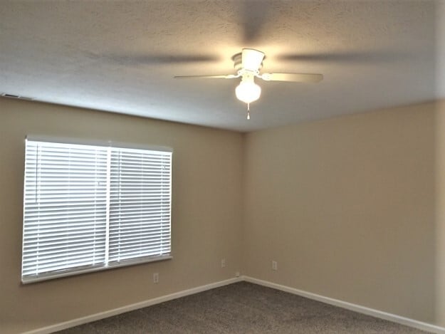 Photo - 293 Story Rd