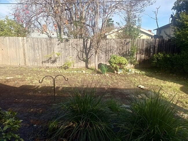 Photo - 107 Petrilli Cir