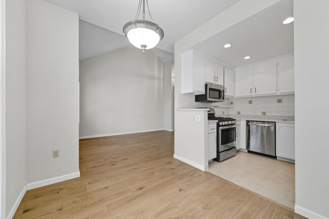 Photo - Blossom Circle