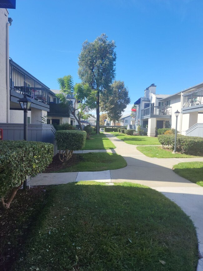 Oak Hill Apartments