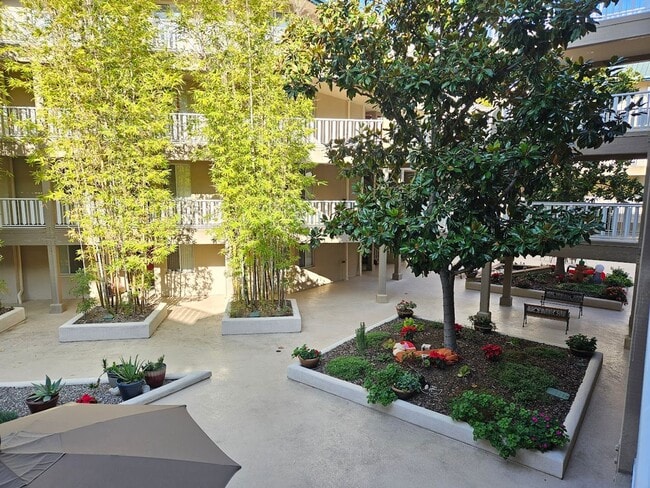 Building Photo - Spacious 2 Bed/2 Bath Condo in the Heart o...