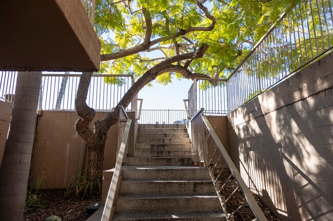 Photo - 2517 Navarra Dr Unidad 2E