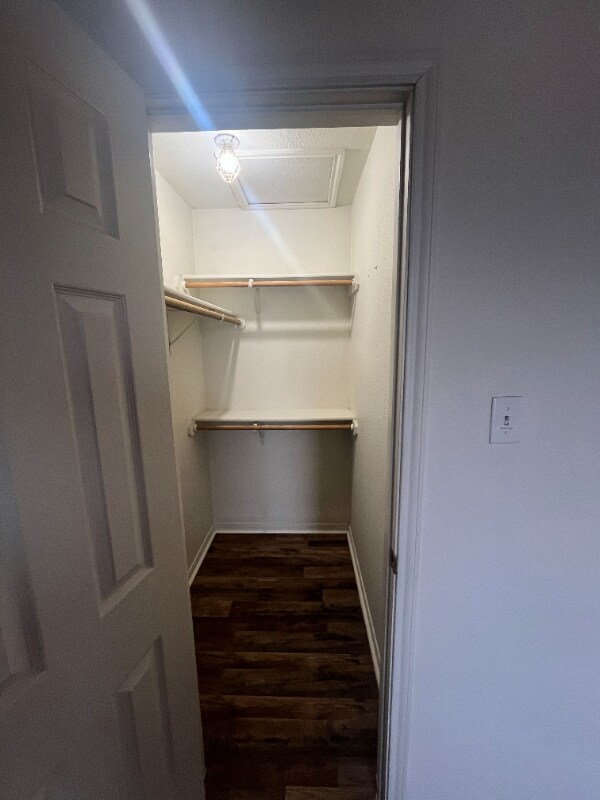 Photo - 3807 Littleleaf Ct