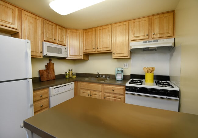Winston Apartments - Winston Apartments
