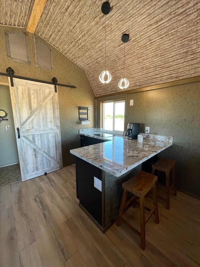 Large kitchen and breakfast bar and induction cooktop. - 8405 N Via Socorro Unit C