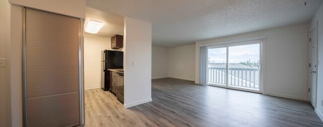 Photo - Northern Lights