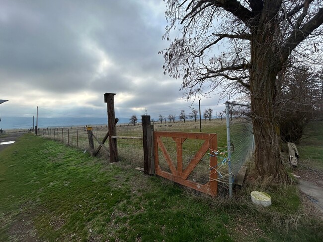 Photo - Charming 3 bed/1 bath country home on 5 acres with barn & small shop.