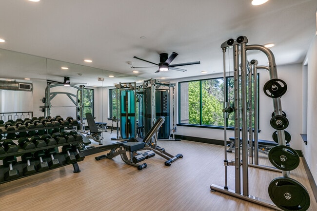 Photo - Theo Allen Gateway