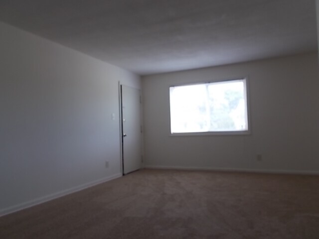 Photo - Spacious 2 Bedroom Apartment Unidad #11
