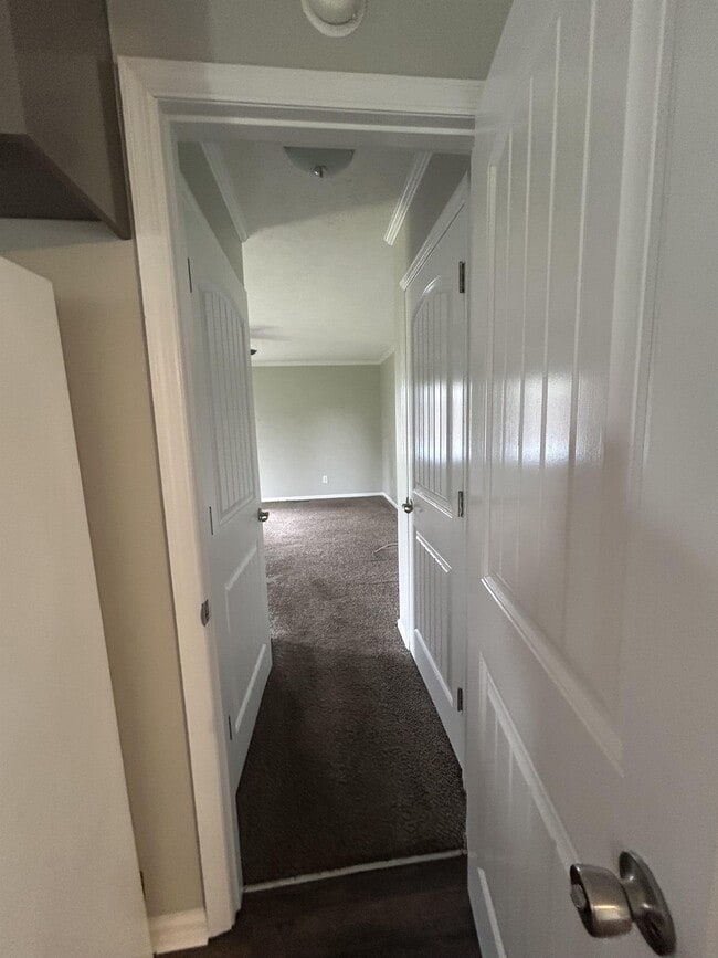 Photo - 2515 Reta St