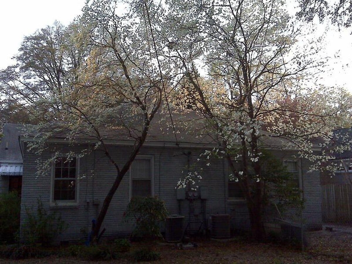 Photo - 2429 Monroe St Unit 2431 Monroe Street