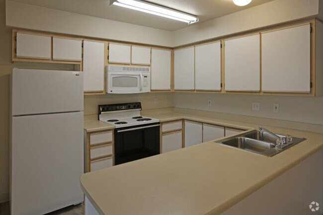 homes for rent in the villages fl
