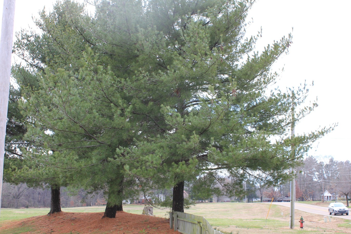 Willow Creek Apartments - Willow Creek Apartments