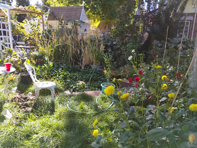 Photo - 1319 S 900 E