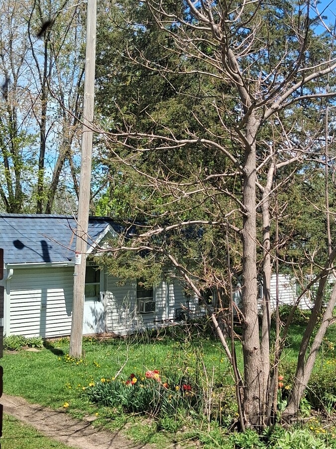 Photo - 808 E Holum St