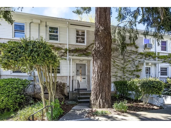 Front entry with large Douglas fir - 6821 NE Broadway
