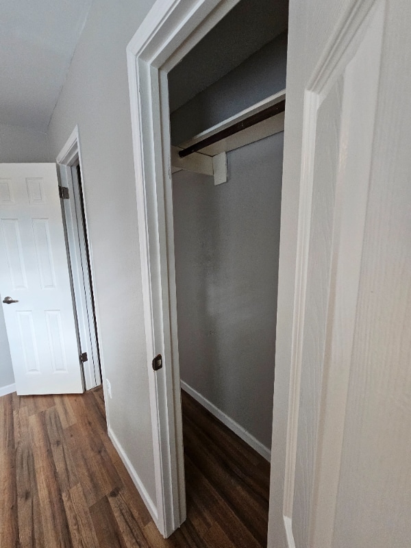 Photo - 19403 Youngtree Cir