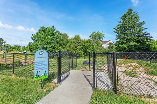 Bark Park