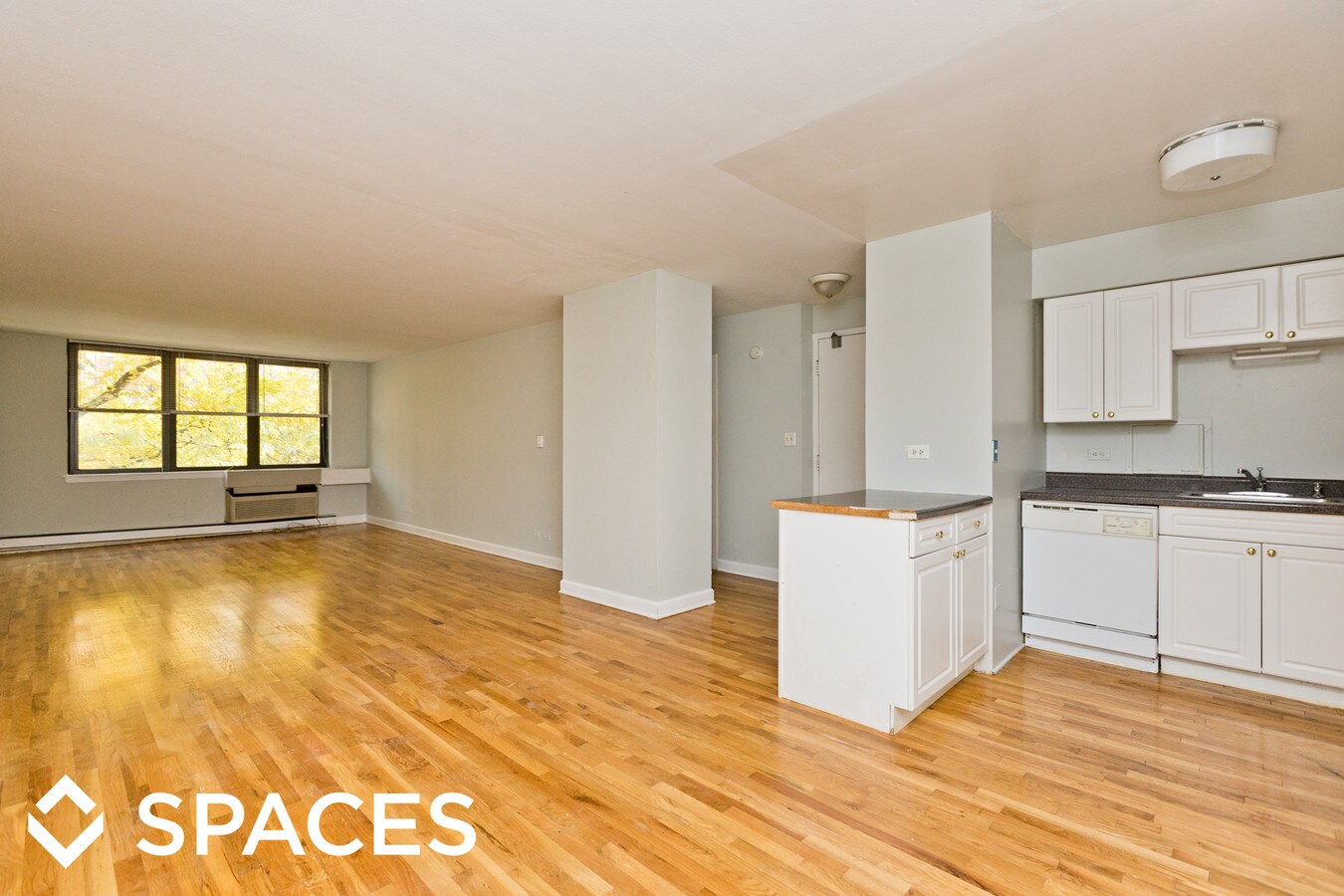 1446 N Dearborn Pkwy Apartments For Rent in Chicago, IL