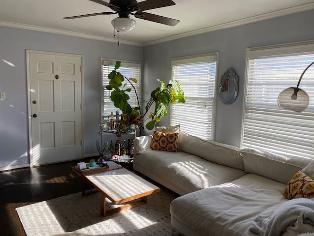 Living Room - 1008 6th St Unit F