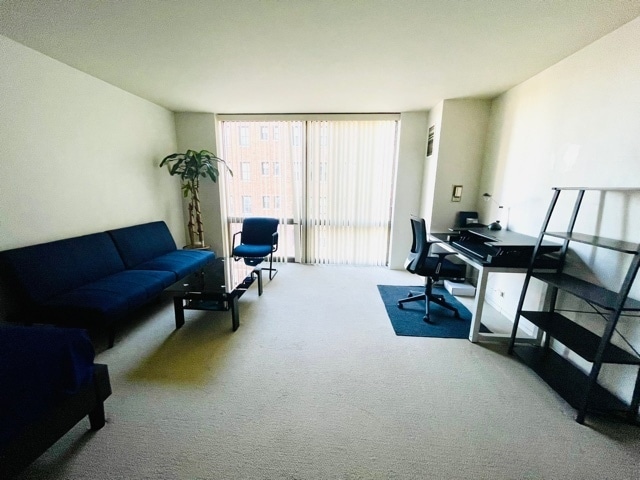 Photo - 2650 N Lakeview Ave Unit 503