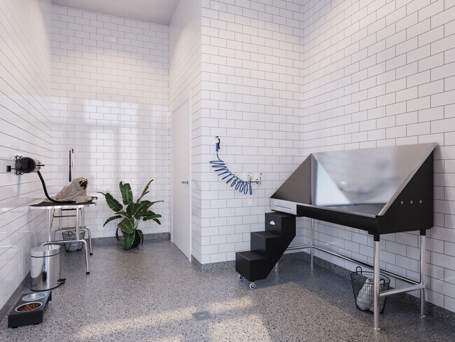 Photo - Alpine Flats