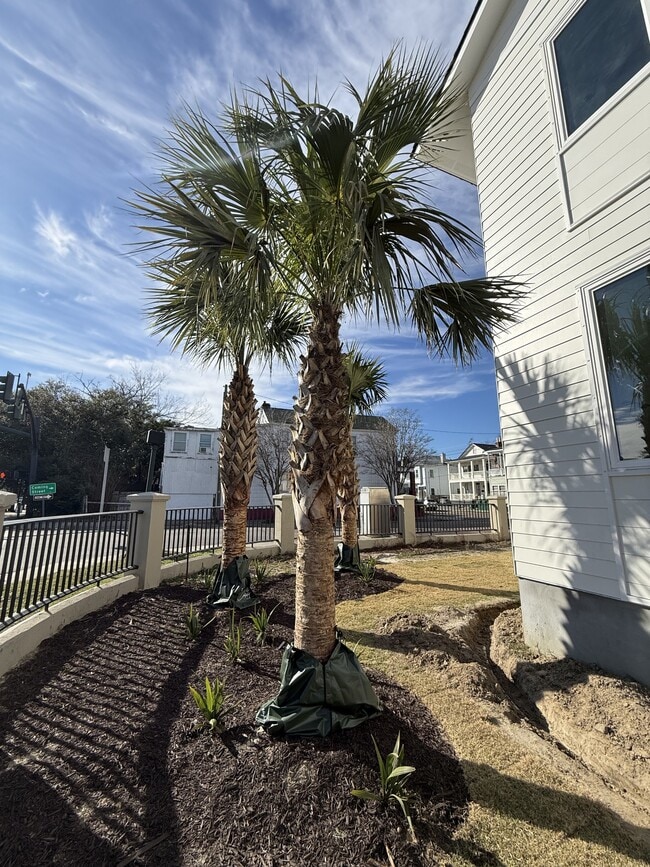 Photo - 89 Fishburne St