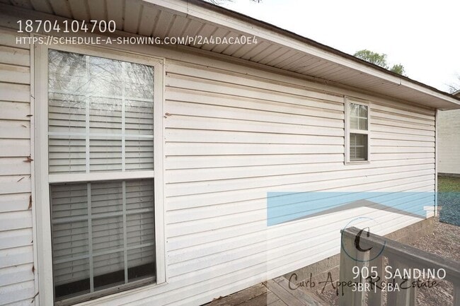 905 Sandino-