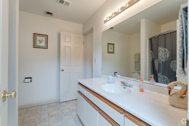 Lower Townhome Full Bathroom