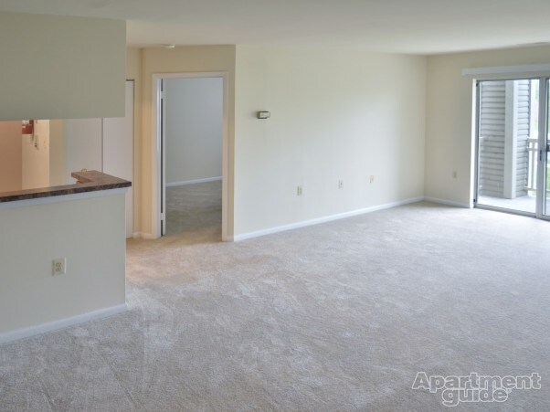 Photo - Washington Overlook