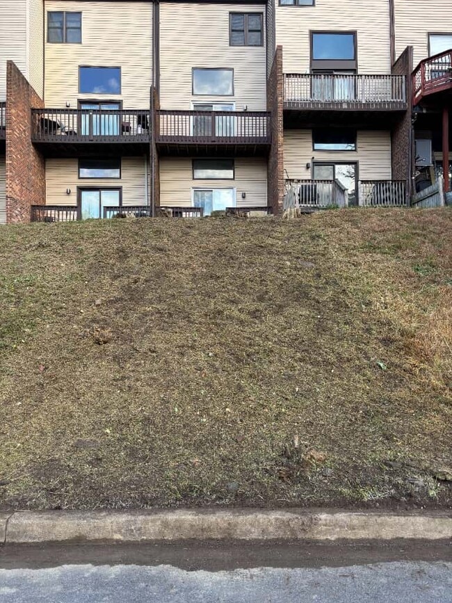 Photo - 3226 Brookline Rd