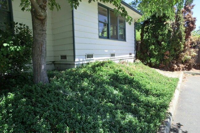 Photo - Oldie But Goodie